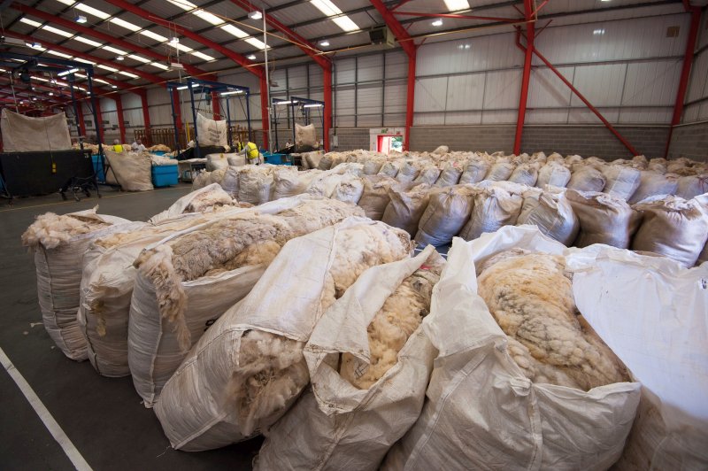 Approximately 120 tonnes of wool are produced on the Isle of Man each year (Photo: British Wool)