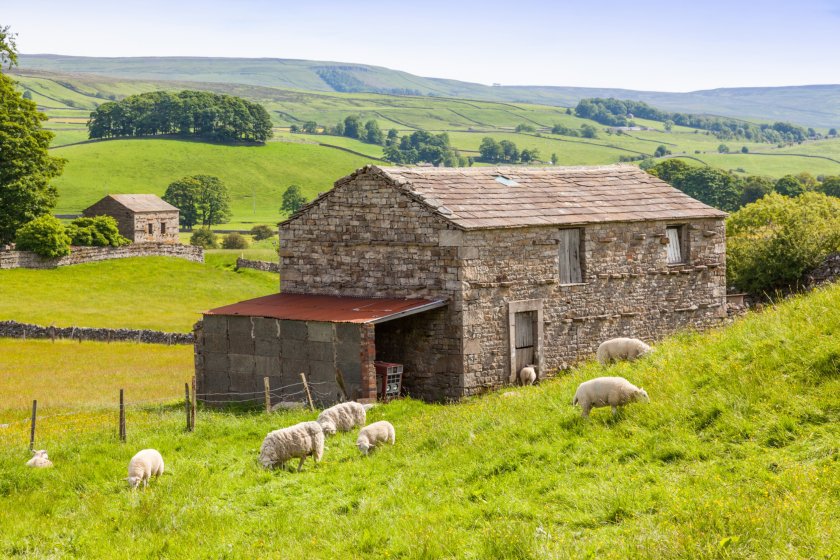 The Farming in Protected Landscapes scheme will be extended until March 2025, the government has announced