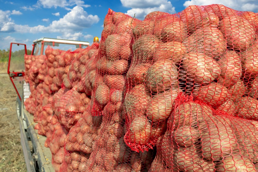 Pre-Brexit, Scotland sold an estimated 22,000 tonnes of seed potatoes to European customers