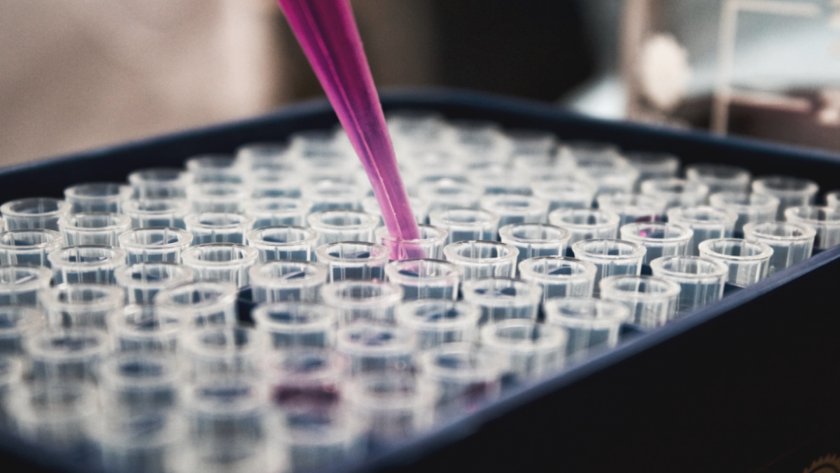 The new diagnostic testing innovation will allow farmers and vets to test for a variety of livestock conditions