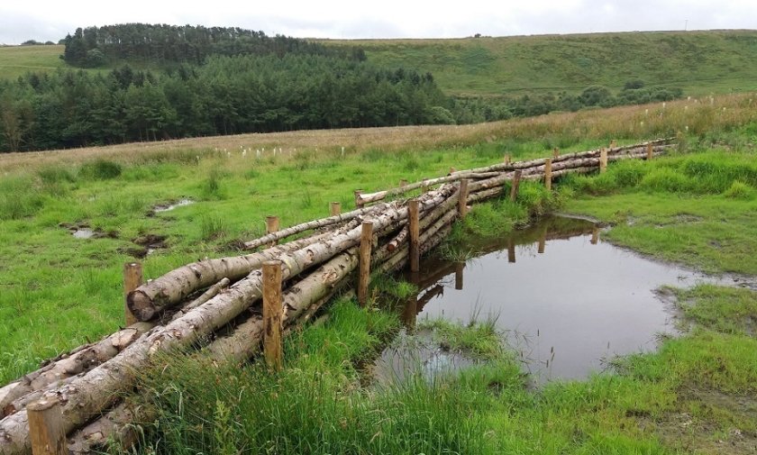 The £25 million fund will support projects that use nature to increase flood resilience (Photo: Environment Agency)