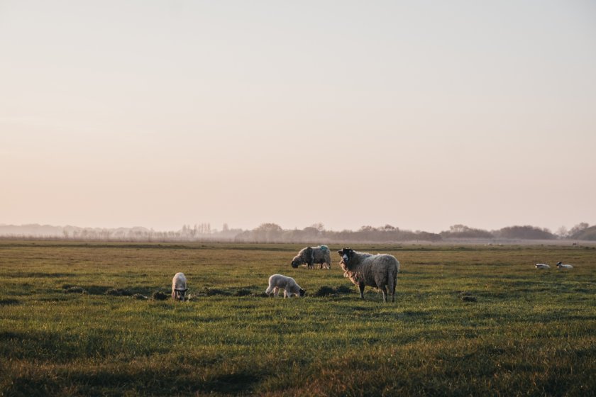 Last year, the fund supported over 45 projects, delivering over £1m to farmers across the region