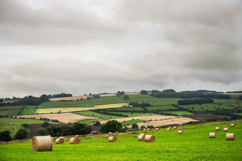 UK food security has rarely been more prominent than in the past few years 