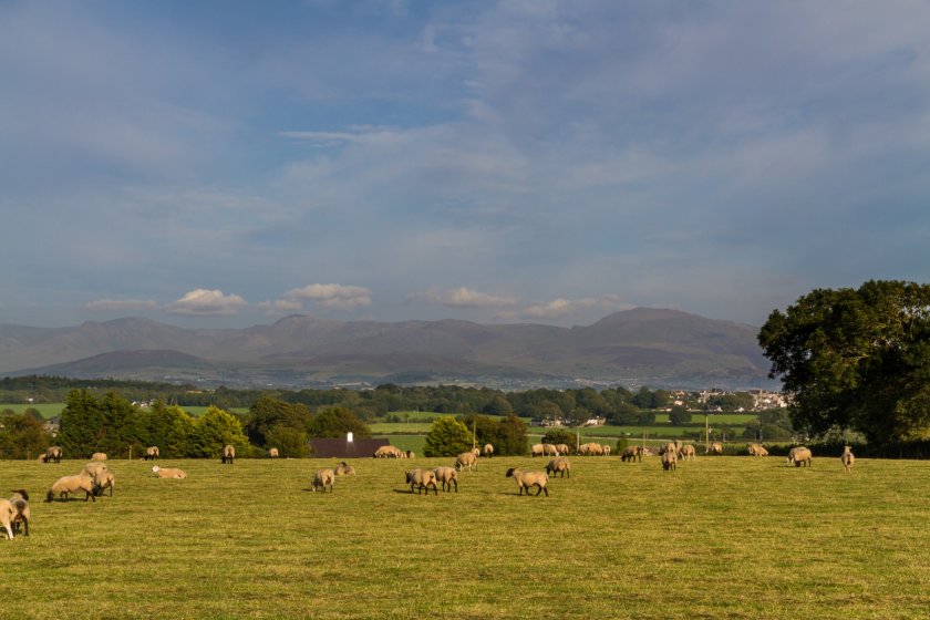 The Habitat Wales Scheme launches as the industry transitions away from Glastir to the start of the Sustainable Farming Scheme, in 2025