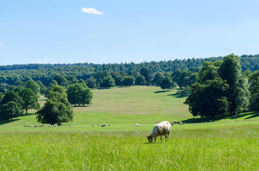 Successful applicants will be awarded up to £5,000 to help fund on-farm trials that experiment with new ideas