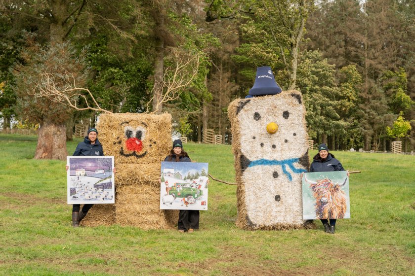 Early signs of winter have appeared at the charity's headquarters with the arrival of festive bale art (Photo: RSABI)