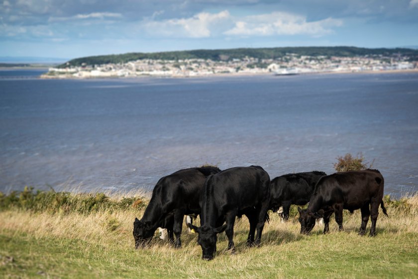 A group of farmers in Jacob-Rees Mogg's North-East Somerset constituency have hit back following the MP's remarks