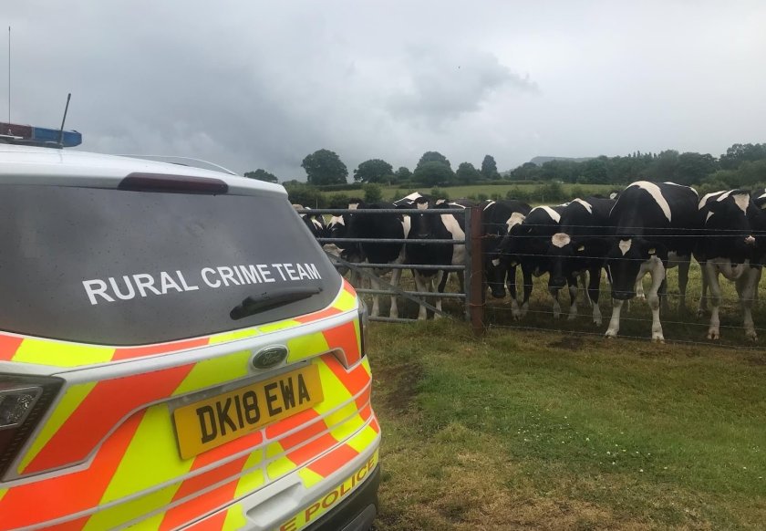 Cheshire Police and charities partnered on an awareness raising campaign aimed at preventing livestock worrying incidents