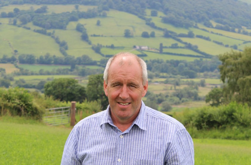 Richard Roderick hopes lucerne could further reduce the farm’s carbon footprint by speeding up lamb finishing periods