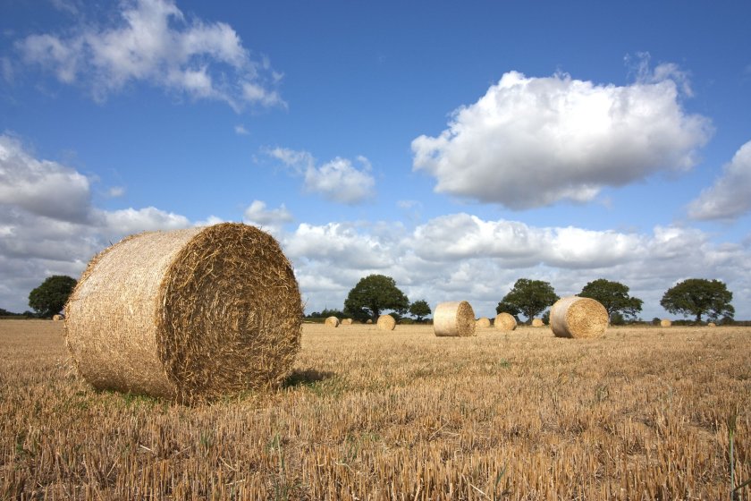 Councillors praised the wide-ranging economic benefits Suffolk farmers and growers offer to the region