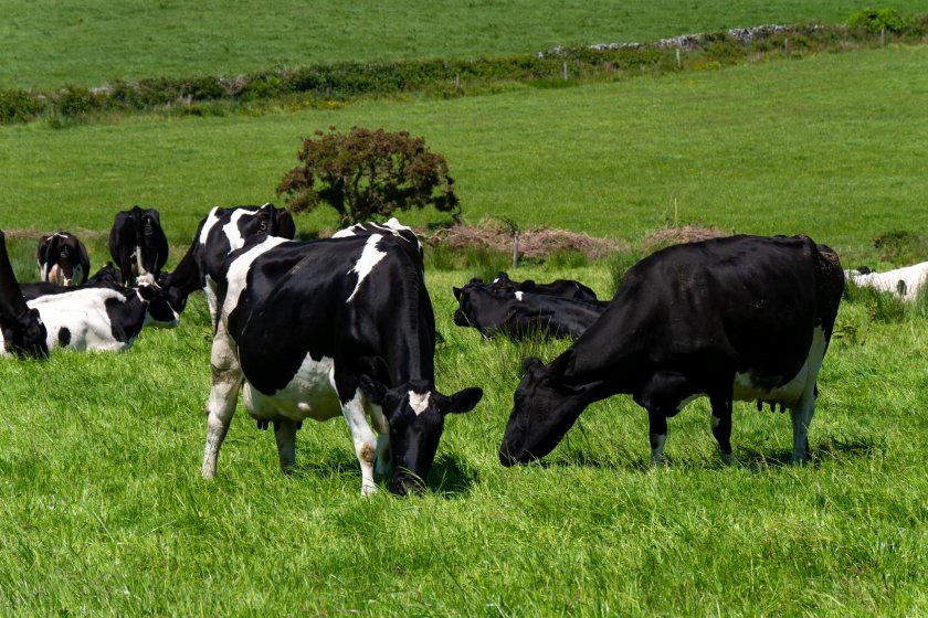 An AI-enabled tool will be developed to enhance grassland management