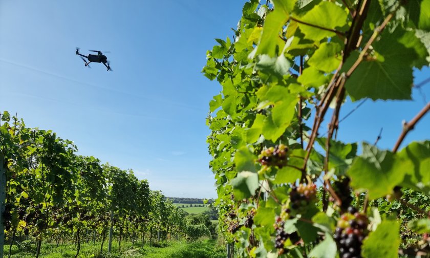 The project will start by digitally mapping vineyards at the row and individual vine level, using JoJo’s Vineyard in Oxfordshire as a first test site