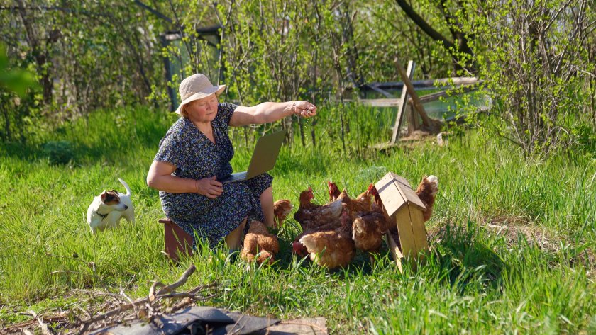 Over 1,500 backyard and small-scale poultry keepers volunteered to take part in the study, demonstrating the importance of the issue