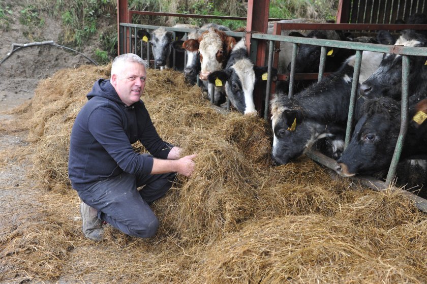 To reduce cost of production, the Jenkins sought advice on switching from concentrates to a home-mix ration