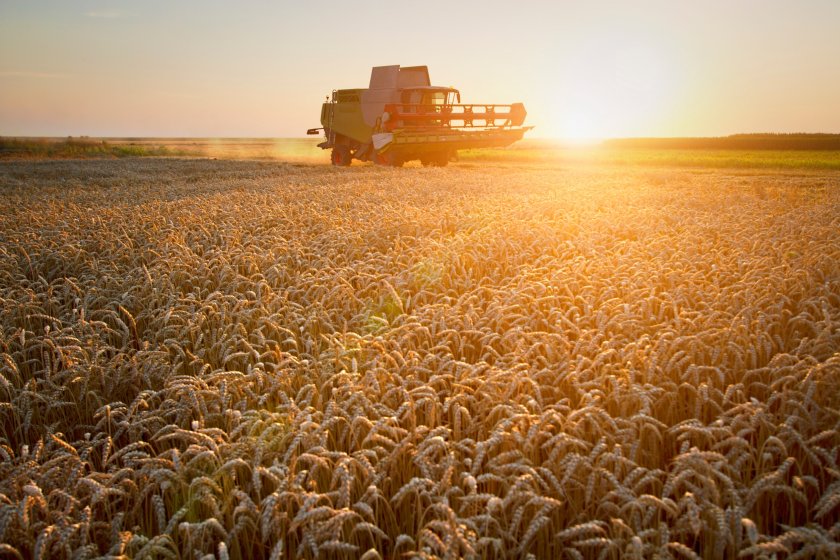 Despite relief on prices and availability, Rabobank's report still predicts demand to remain weak