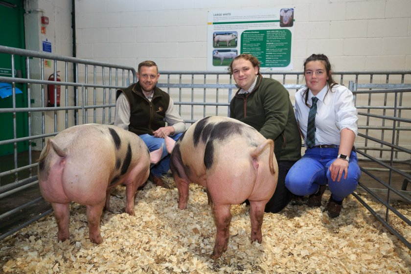This year the Berry family have won with a ¾ Pietrain x Large White, which was also crowned in the interbreed pairs class