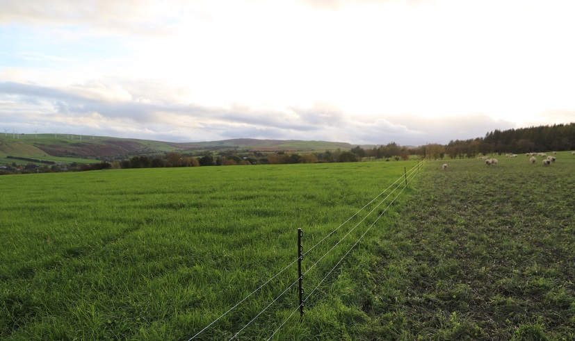 A farm near Welshpool wants to minimise the volume of purchased feed it uses in its sheep and suckler beef enterprises