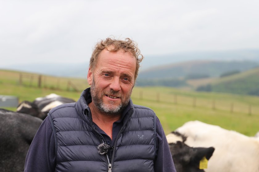 A Welsh livestock farmer is trialling peas and beans as a soya alternative in ewe rations  