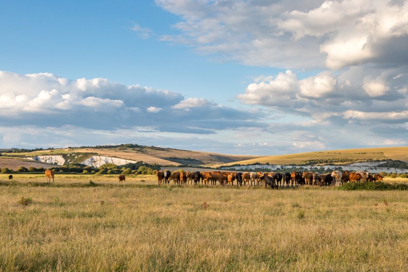 All farmers who wish to secure a derogation for 2024 will need to submit a fresh application
