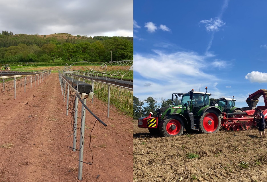 The scheme was established to support growers to develop their businesses through investment in new equipment