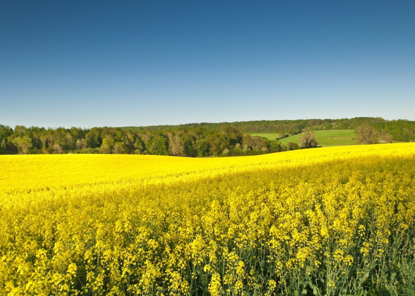 The EU has maintained the UK's biofuels assurance status following intense efforts from the farming industry