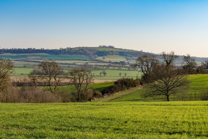 Farmland prospects strong for 2024, Carter Jonas predicts FarmingUK News