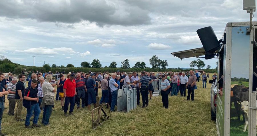 Halls said the auctioneering firm had a 'tremendous year' with farm dispersal sales