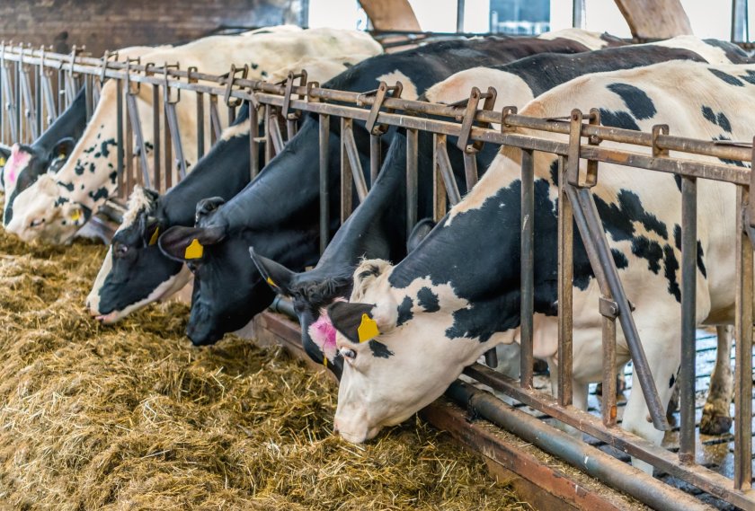 It is the first authorisation by the UK for a feed additive targeted at an environmental benefit