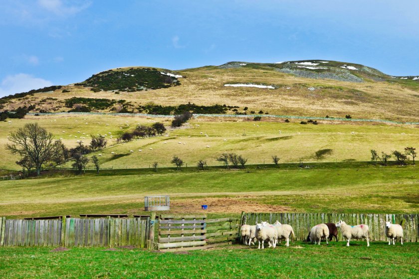 Scottish farmers and crofters reminded of ‘Help for Heating’ grants