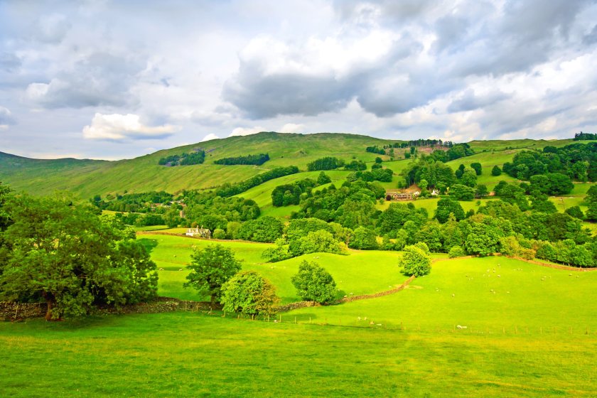 Natural capital markets are a new and developing feature in farming and land management