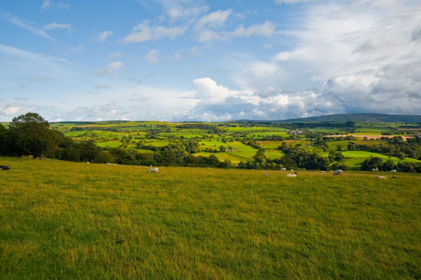 Potential changes to capital gains tax and business asset disposal relief will have implications for land sales