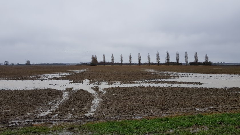 The PGRO is re-issuing its advice to growers in light of the recent bad weather that has caused major disruption to farms