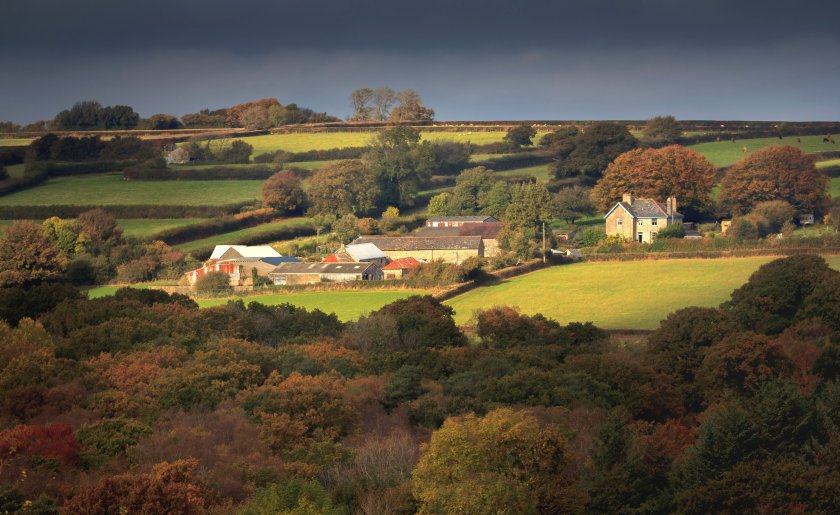 The BNG rule change means that developments will need to restore any biodiversity lost during the building phase