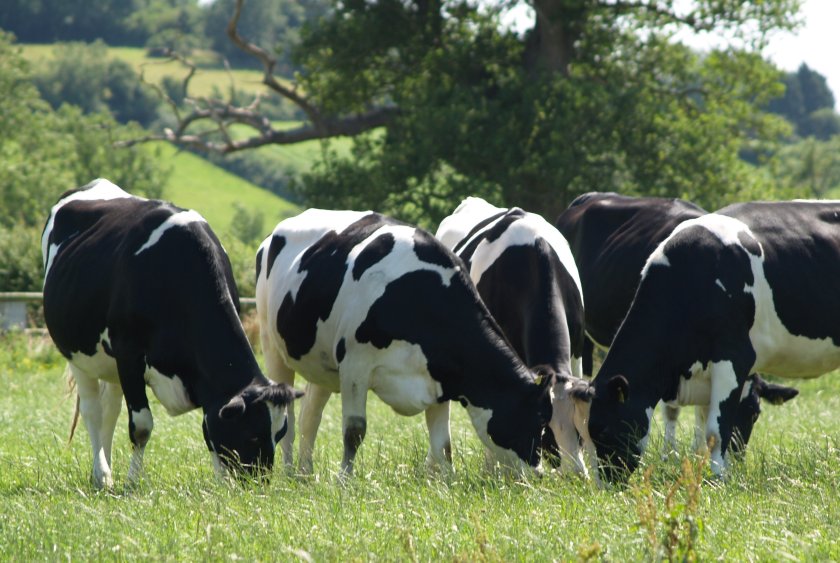 Twenty-two vets have signed up to the pilot, with each one aiming to recruit three farms in the project