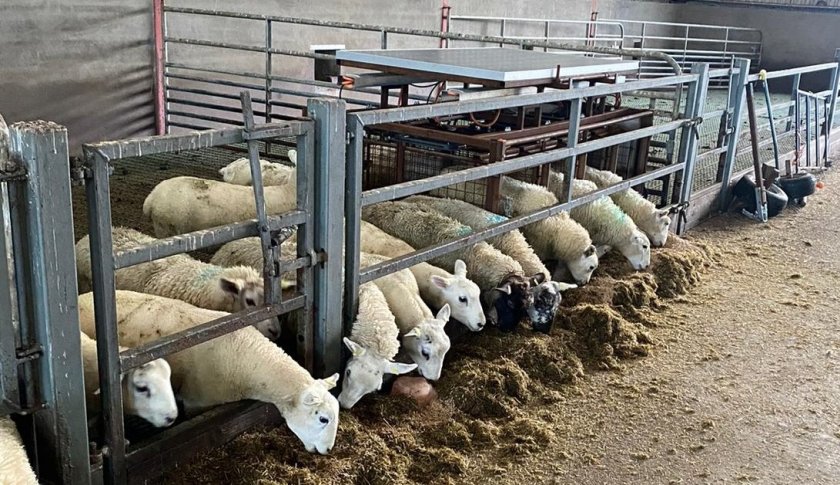 The project aims to develop a system which provides farmers with data to make accurate predictions to reach target finished weight