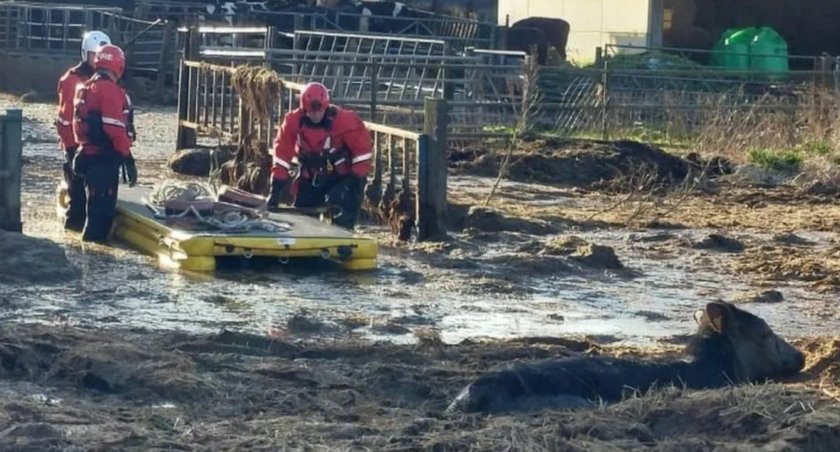 (Photo: Dorset and Wiltshire Fire and Rescue Service)