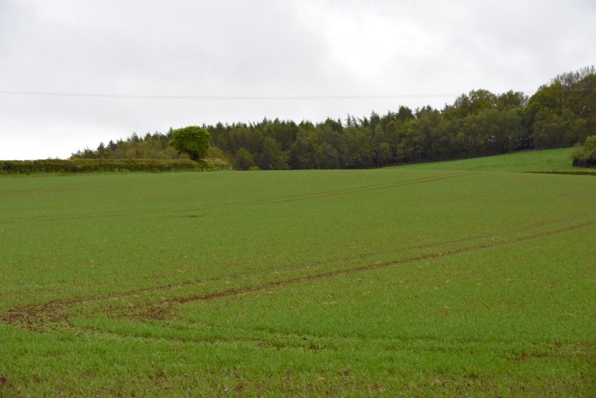 The brome problem has been shown to exist in all the main wheat-growing regions of the country