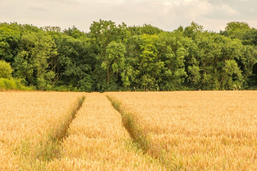 Small farm businesses often struggle to find practical information about employing apprentices, Lantra says