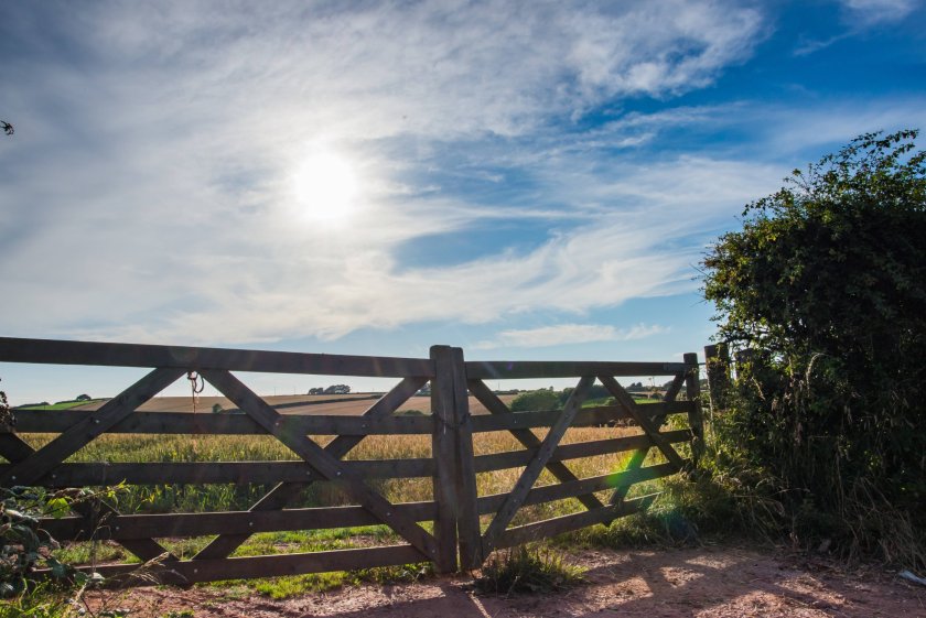 The policy 'missions' cover numerous topics, including sustainable farming and affordable rural homes