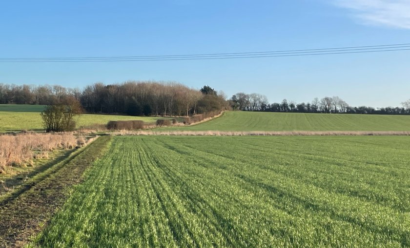The introduction of mandatory BNG is set to open up opportunities for landowners interested in the natural capital market