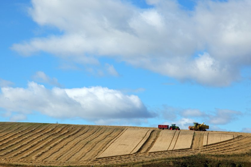 Scotland saw arable land values rise but upland pasture prices fall in 2023, according to Strutt & Parker analysis