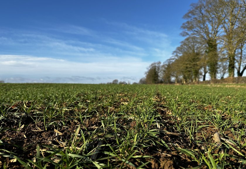There has been a number of difficult seasons in a row, with each posing a new challenge for farmers, Corteva Agriscience says