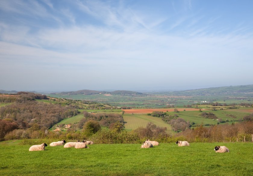 The poll's findings come as tensions continue to rise between the Welsh government and rural communities