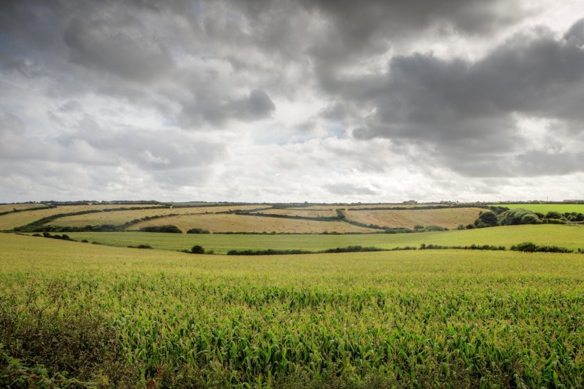 No Farmers, No Food is calling for a fairer price for farmers, as well as an end to cheaper, lower-quality imports