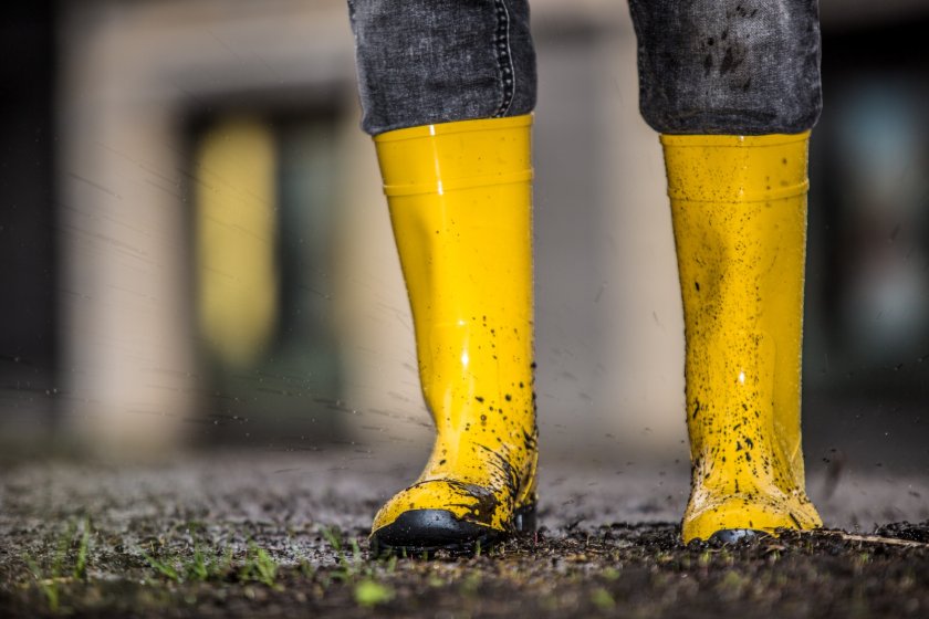 Thousands of old farm wellies are needed for the symbolic display at the Senedd