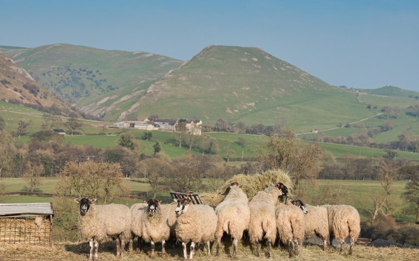 The £100,000 lottery funding will help fund baseline environmental surveys of farmers' land