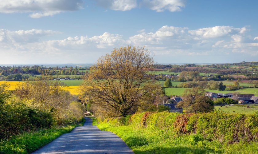 A hedge cutting ban between 1 March and 31 August to protect nesting birds will be introduced