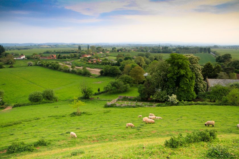 The Tenant Farmers Association (TFA) had argued for a change in tax rules to encourage longer term and more secure FBTs