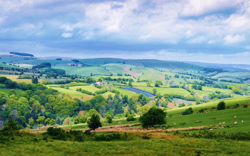 A new poll finds just 19% believe objectors have a positive impact on the British countryside