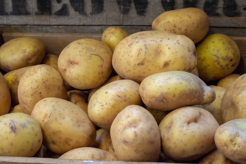 A key part of the project involves sequencing the genome of the Maris Piper potato, a beloved variety in the UK